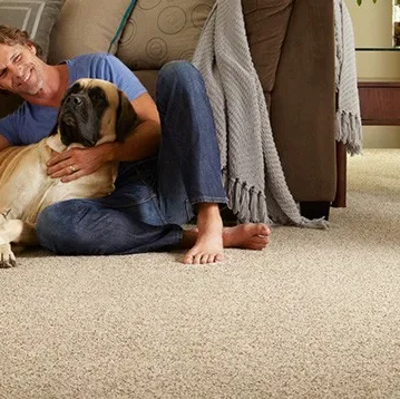 why-Carpet-img