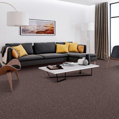 Living room with brown carpet