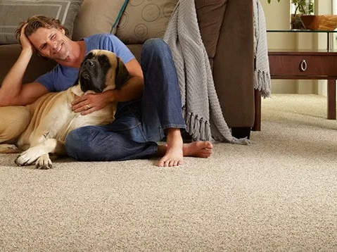 why-Carpet-img