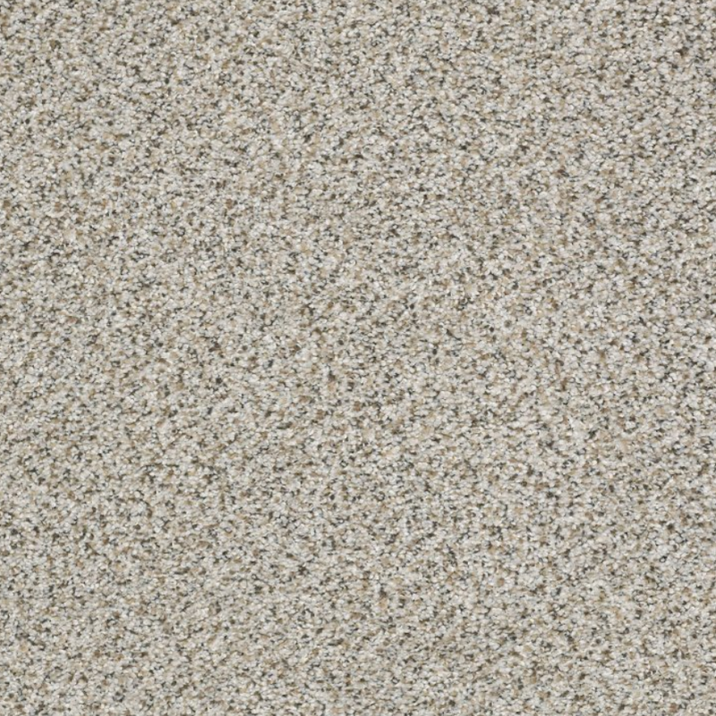 Shaw Floors Floors Foundations Elemental Mix II Silver Lining