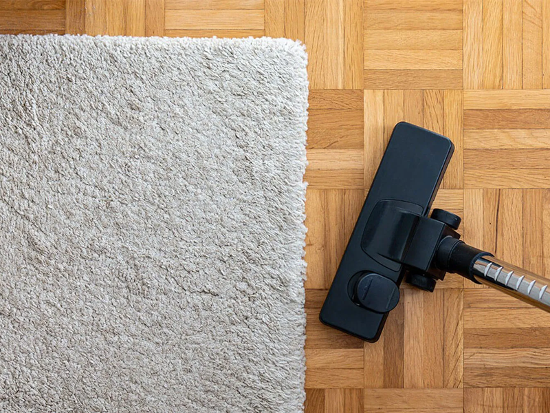 Daily Area Rugs care