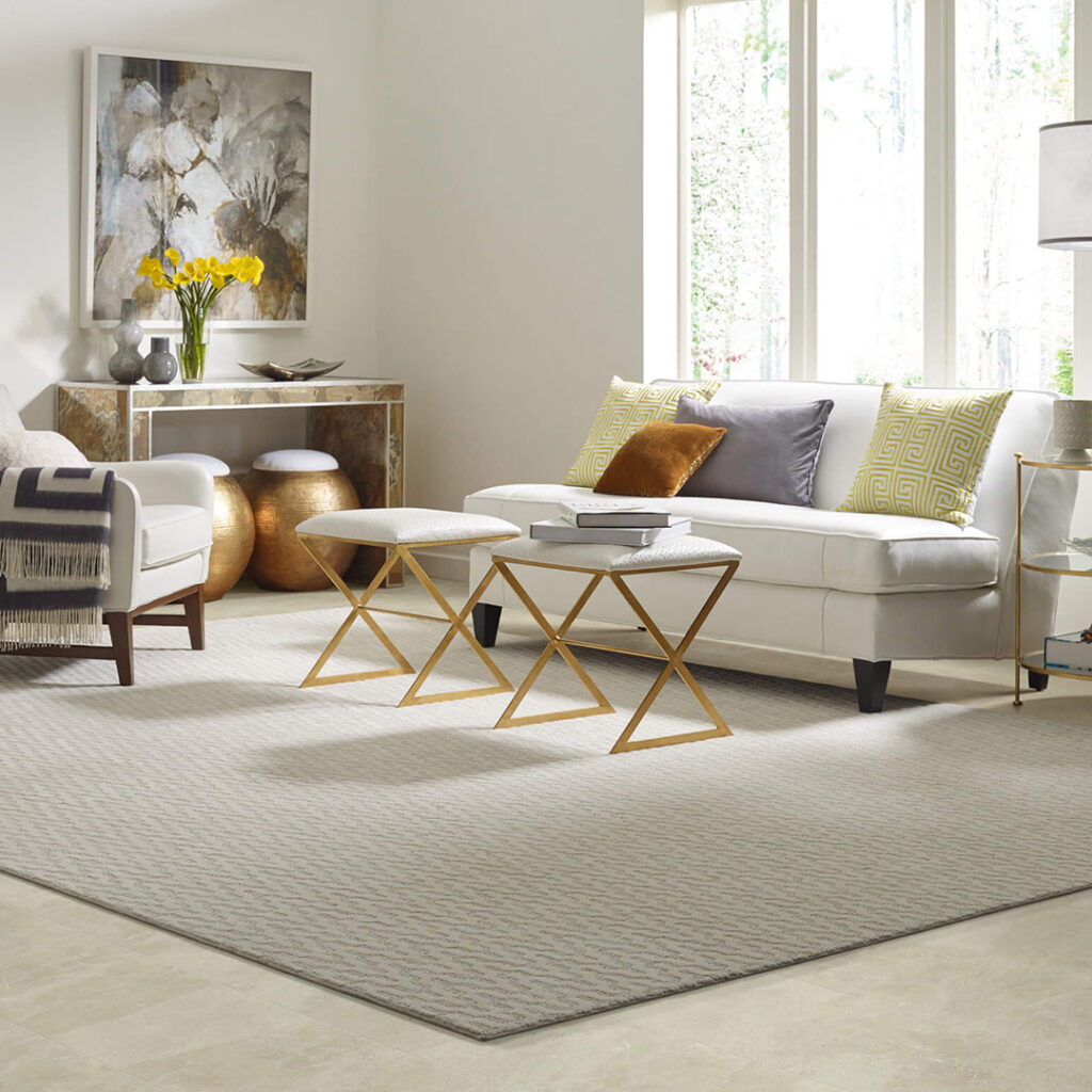 Living Room Area Rug | Vallow Floor Coverings, Inc